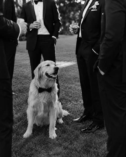 Groomsmen Candid with Bow-Tie Pup