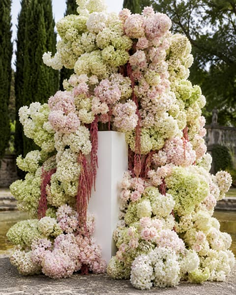Hydrangea and Rose Floral Installation