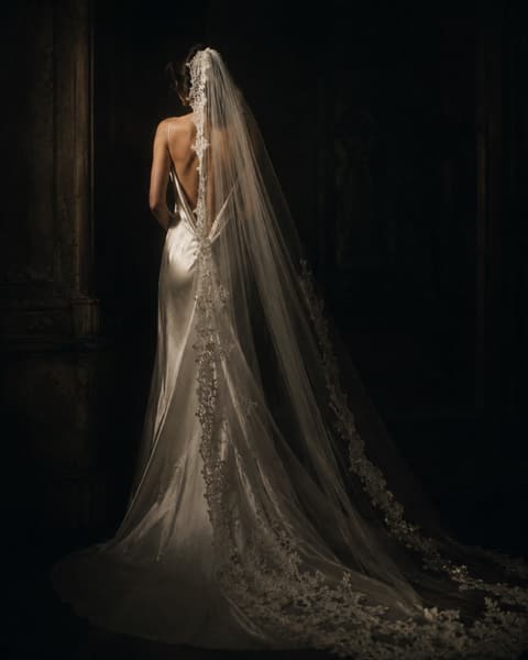 Backless Gown Bridal Portrait Inspo